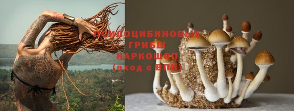 гидра Арсеньев