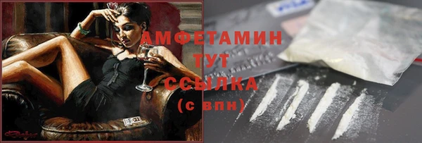 гидра Арсеньев