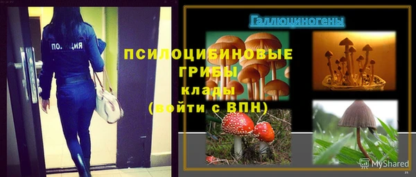 гидра Арсеньев