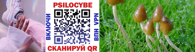 Галлюциногенные грибы Psilocybe  darknet наркотические препараты  Нязепетровск 